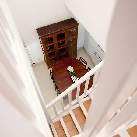 New Opening Oasis Terramar